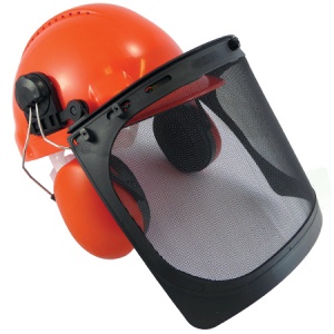 ts72 visor defenders forestry ear helmet