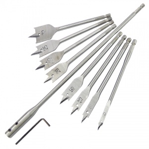 10 Piece Flat Bit Set